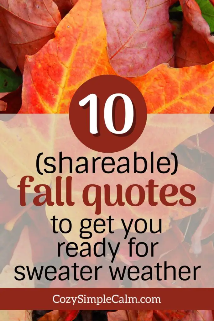 fall quotes sweater weather