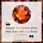 10 cozy autumn quotes - Cozy. Simple. Calm.