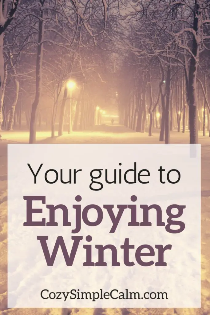 Your guide to enjoying winter - pinterest pin