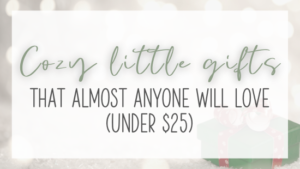 Blog post featured imagePicture of christmas gift - Text overlay: Cozy little gifts that almost anyone will love (under $25)