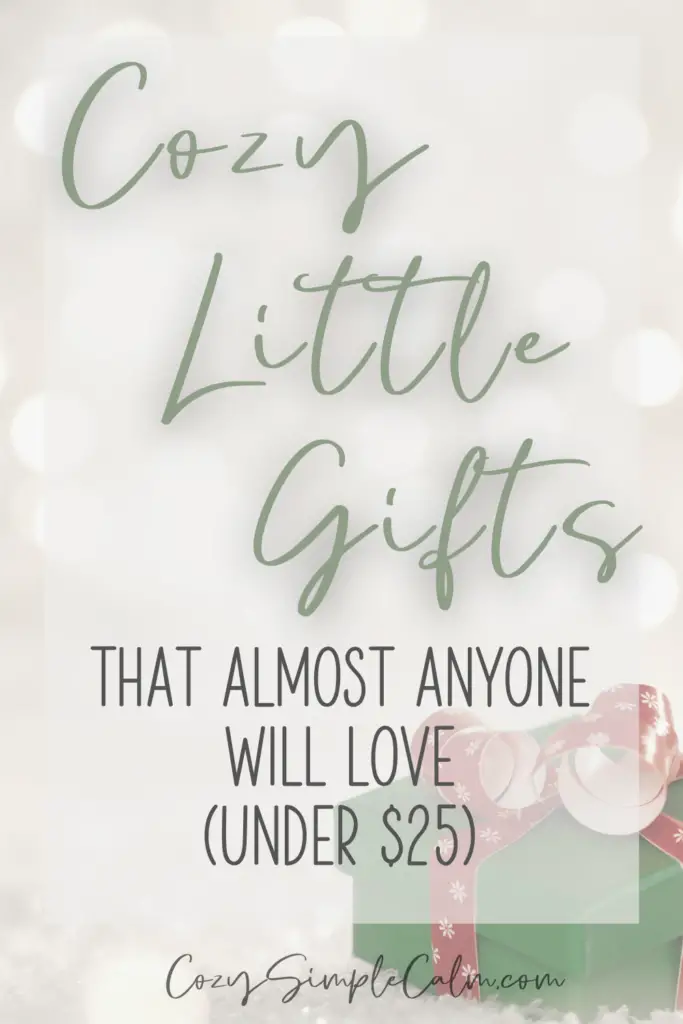 Pinterest image. Picture of christmas gift - Text overlay: Cozy little gifts that almost anyone will love (under $25)