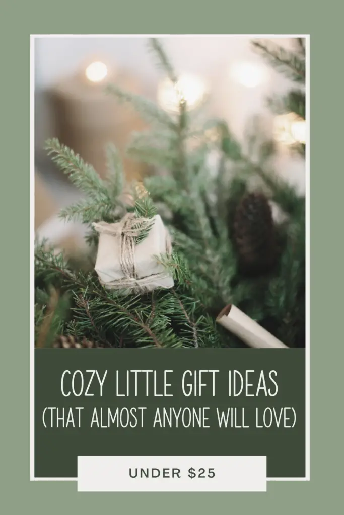 Pinterest image. Picture of christmas gift - Text overlay: 26 cozy little gift ideas under $25