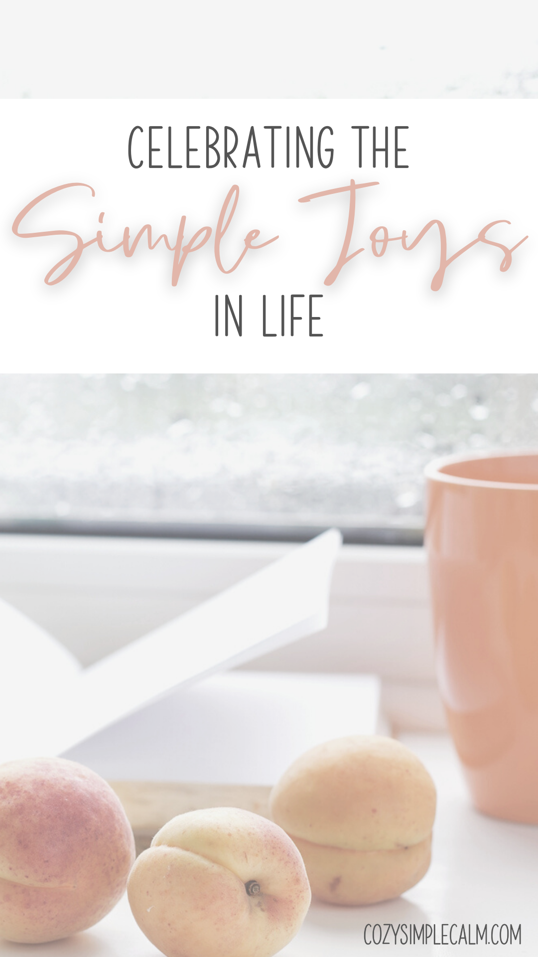 Image of orange mug, open book, and three peaches - text overlay: Celebrating the simple joys in life