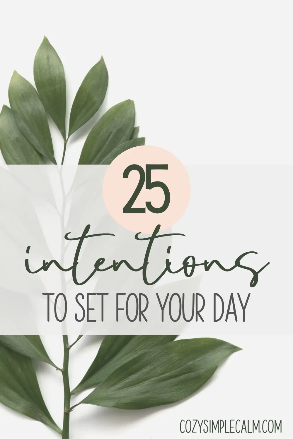 Palm leaf on white background - Text overlay: 25 intentions to set for your day
