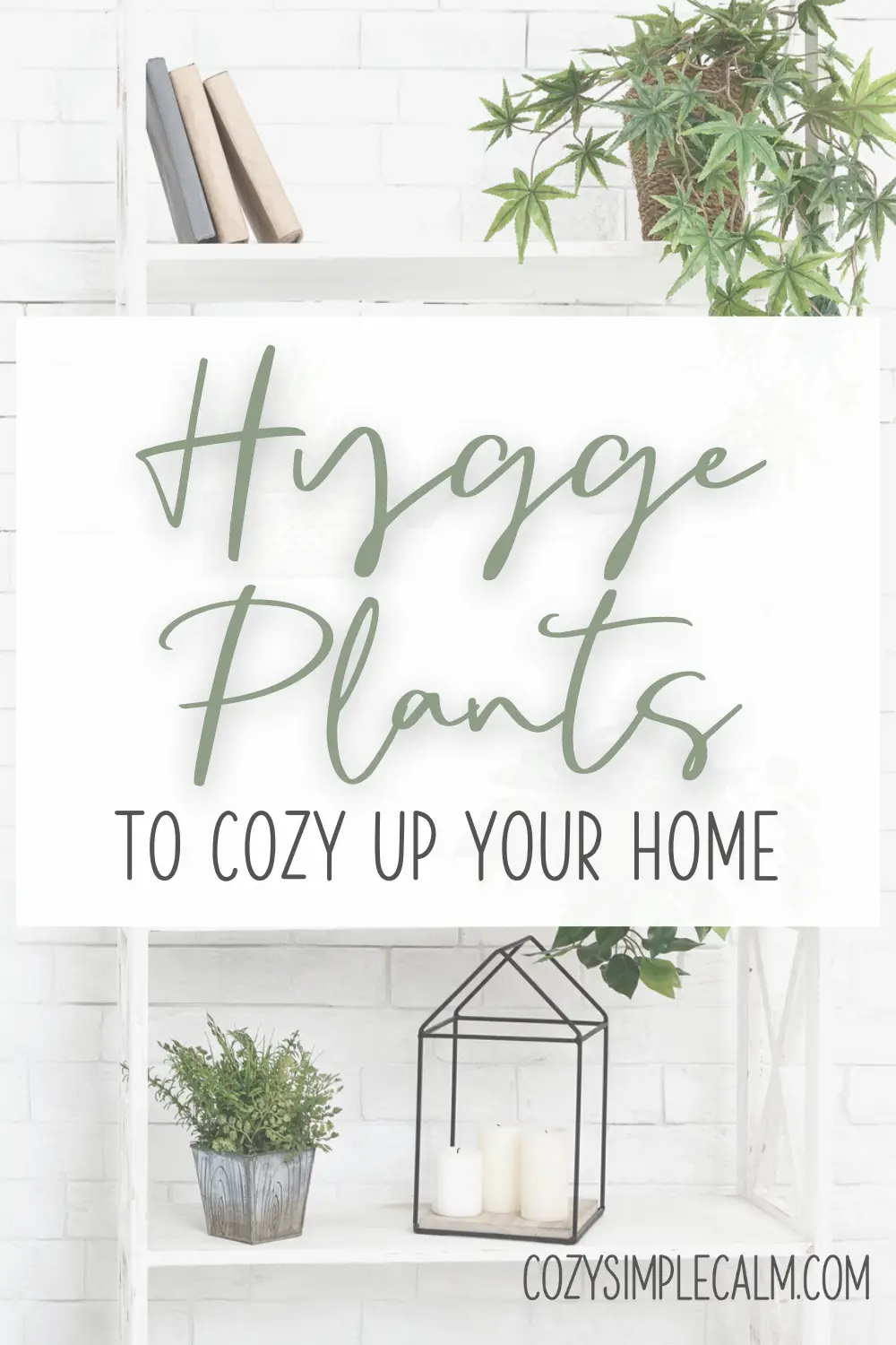 Image of houseplants and candles on white shelf - Text overlay: Hygge Plants To cozy up your home - cozysimplecalm.com