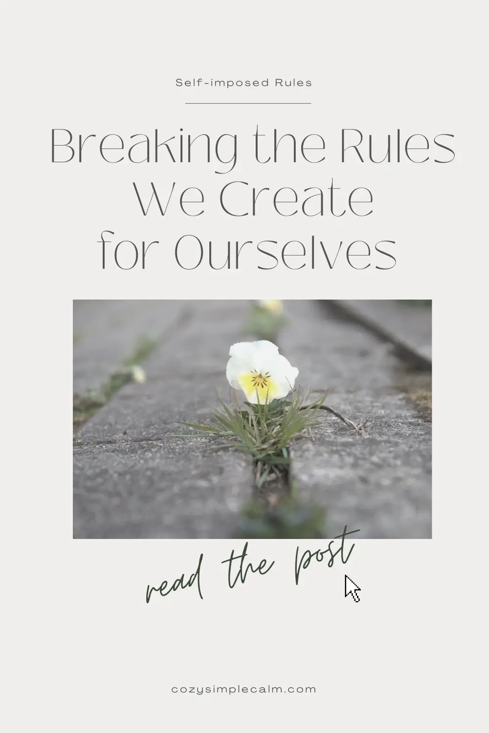 Image of small flower growing out of sidewalk - Text overlay: Breaking the rules we create for ourselves - cozysimplecalm.com