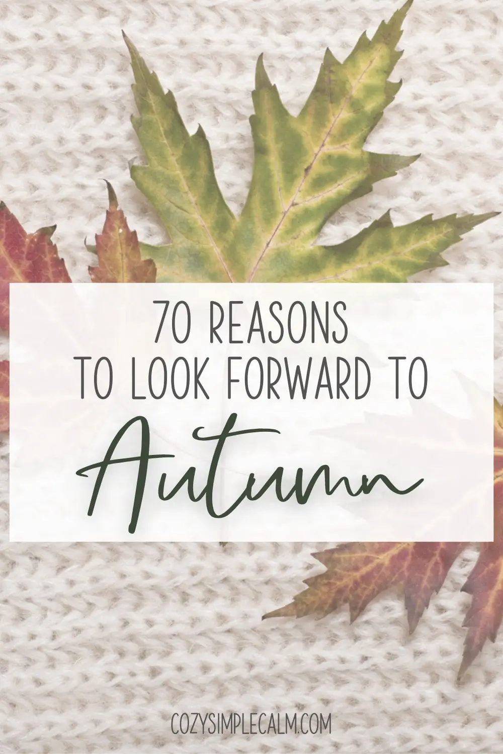 Image of fall leaves on white knit background - Text overlay: 70 reasons to look forward to autumn - cozysimplecalm.com