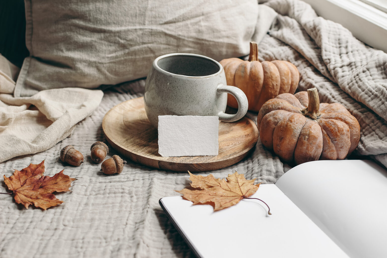 70 reasons to look forward to Autumn | Cozy Simple Calm