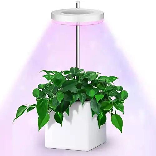 Grow Lights for Indoor Plants, Full Spectrum with Automatic Timer