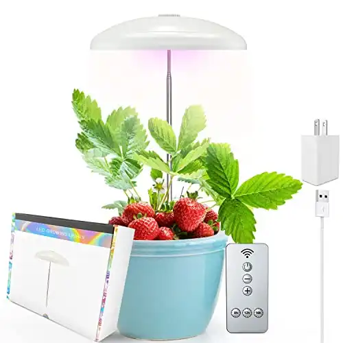 Small Plant Light with Automatic Timer