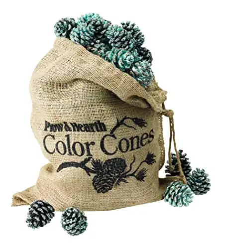 Plow & Hearth Flame Color Changing Pine Cones